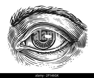 Hi guys, thats my attempt of drawing a human eye while following along with  the process of Stephen Bauman, this tutorial is on his Patreon, feedback  appreciate :) : r/learnart