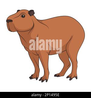 Vector Illustration Of Capybara Isolated On White Background For Kids  Coloring Book Stock Illustration - Download Image Now - iStock