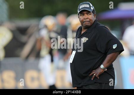 Former Cardinals Coach Dennis Green Dies At 67