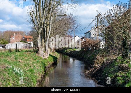 The Hoge Molenbeek creek through the meadows at the Belgian countryside around Merchtem, Flemish Brabant Region, Belgium Stock Photo