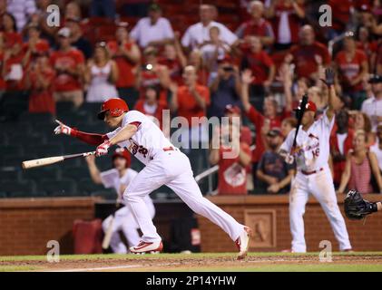 St. Louis Cardinals Aledmys Diaz retrieves a Jose Fernandez shirt that hung  in the dugout for their game against the Cincinnati Reds at Busch Stadium  in St. Louis on September 27, 2016.