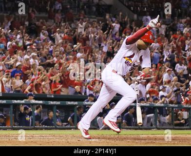 St. Louis Cardinals Aledmys Diaz retrieves a Jose Fernandez shirt that hung  in the dugout for their game against the Cincinnati Reds at Busch Stadium  in St. Louis on September 27, 2016.