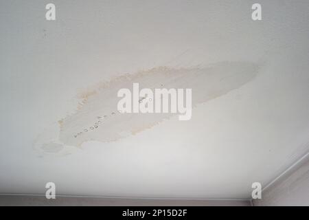 Leaky roof dampness in bedroom ceiling walls. Water droplets forming and dripping from damp ceiling from rain water flooding. Close shot, no people. Stock Photo