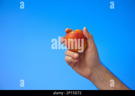 Caucasian male hand holding a ripe red apple. Close up studio shot, isolated on blue background. Stock Photo