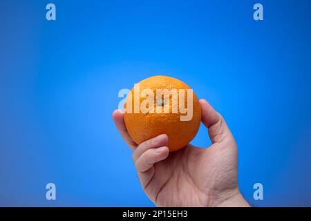 Ripe unpeeled orange fruit held in hand by Caucasian male. Close up studio shot, isolated on blue background. Stock Photo