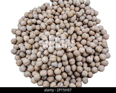 Walnuts in the shell isolated on white Stock Photo