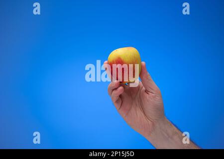 Caucasian male hand holding a ripe red apple. Close up studio shot, isolated on blue background. Stock Photo