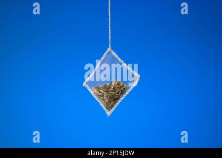 Transparent square tea bag with dried fruits and ground leafs. Close up studio shot, isolated on blue background, no people. Stock Photo