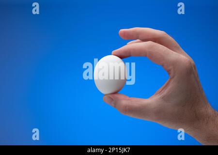 Fresh white raw egg held by male hand. Close up studio shot, isolated on blue background. Stock Photo