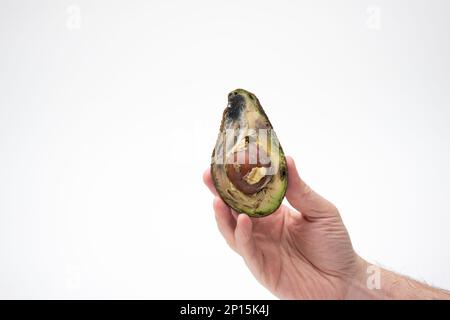 Male hand holding a spoiled rotten overripe avocado fruit cut in half. Close up studio shot, isolated on white background. Stock Photo