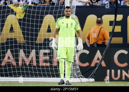 26 June 2016: Argentina goalkeeper Sergio Romero (1) lets his players know  he has the ball. Chile defeated Argentina (4-2 pen) in the 2016 Copa  America final at MetLife Stadium in East