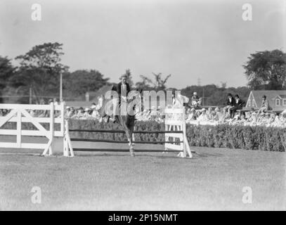 East Hampton horse show, 1934. Stock Photo