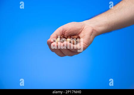 Group of various nuts held in palm by Caucasian male hand isolated on blue background studio shot. Stock Photo