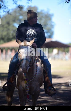 The 13th ESC's chaplains hosted a retreat to connect soldiers with the outdoors and animal therapeutics at the Belton Lake Outdoor Recreation Area (BLORA) Horse Riding stable, today.   U.S. Army Ch. Jeffrey 'Father' Whorton, the unit command chaplain, said the intent was to put soldiers in a different environment and take their minds off their troubles to give them a new perspective. 'When you break that routine you have a chance to reset,' he said. He continued that it allows them to care for their souls and be conduits of grace and mercy to others in our unit.  'Beauty can arrest us,' said W Stock Photo