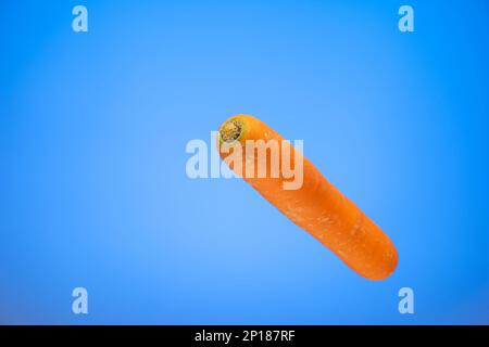 Fresh whole raw carrot isolated on blue background. Stock Photo