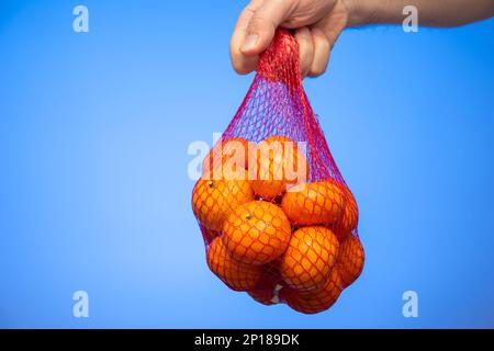 Group of fresh raw mandarin clementines in a plastic net bag held in hand by Caucasian male isolated on blue background studio shot. Stock Photo