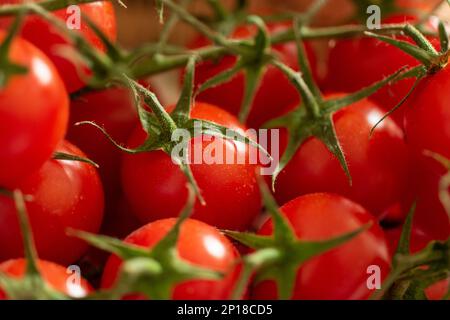 Ripe fresh cherry tomato vine macro close up shot. Stock Photo