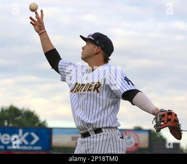 Son of a Bichette! Dante Jr. Looks to Make the Most of Trenton Opportunity  - Pinstriped Prospects