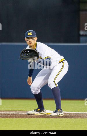 Michigan Wolverines first baseman Drew Lugbauer (17) at the plate