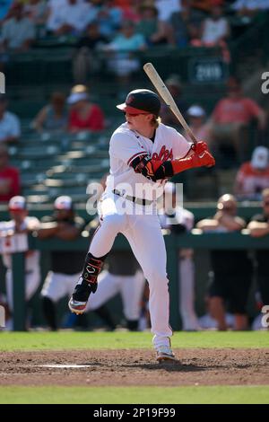 Baltimore Orioles Heston Kjerstad (75) bats during a spring training