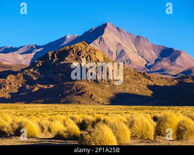 High peaks and typical grass clumps in Cordillera de Lipez in southern bolivian Altiplano Stock Photo