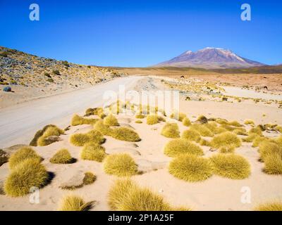High peaks and typical grass clumps in Cordillera de Lipez, Andean Altiplano, Bolivia, South America. Stock Photo