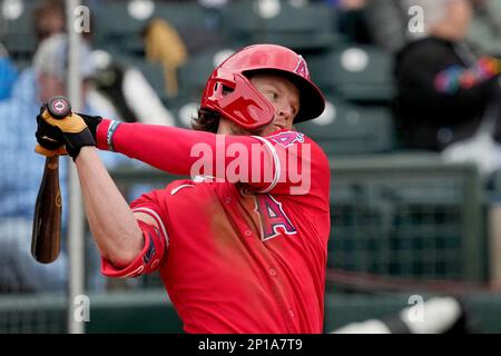 Los Angeles Angels' Brett Phillips (8) warms up before a spring training  baseball game against the San Francisco Giants in Scottsdale, Ariz.,  Sunday, March 19, 2023. (AP Photo/Ashley Landis Stock Photo - Alamy