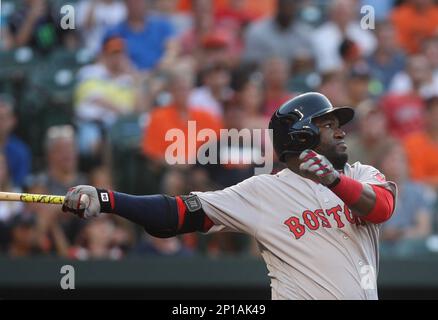 Boston Red Sox DH David Ortiz (34) is welcomed at home by Dustin Pedroia  (L) after a two run home run off St. Louis Cardinals pitcher Michael Wacha  in the sixth inning