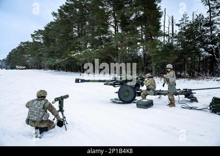 A gun team from the 1-120th Field Artillery Regiment, Wisconsin Army National Guard, set up a M119 howitzer during Northern Strike 23-1, Jan. 25, 2023, at Camp Grayling, Mich. Units that participate in Northern Strike’s winter iteration build readiness by conducting joint, cold-weather training designed to meet objectives of the Department of Defense’s Arctic Strategy. Stock Photo