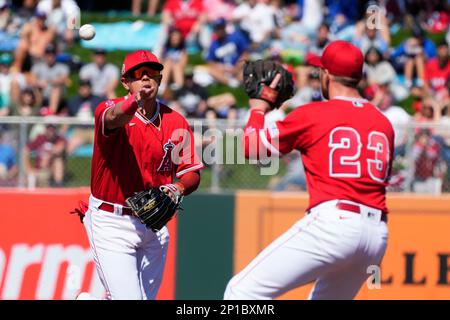 Gio Urshela impressing Angels at shortstop