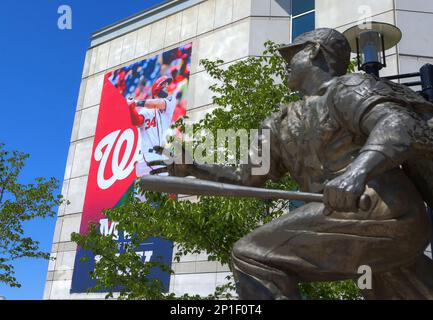 MLB FILE: Roy White of the New York Yankees. (Icon Sportswire via AP Images  Stock Photo - Alamy