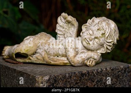 damaged and weathered small winged angel lies on tombstone Stock Photo