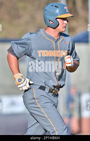 Danny Wilson - Baseball - UNC Asheville Athletics