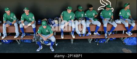 The Kansas City Royals wore St. Patrick's Day green uniforms during a spring  training baseball game against the Los Angeles Dodgers, Thursday, March 17,  2016 in Glendale, Ariz. (John Sleezer/The Kansas City