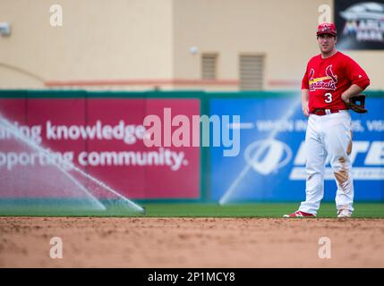 Game-Used Jersey - 2016 Spring Training - Cardinals - 4/14/2016 - Jedd  Gyorko