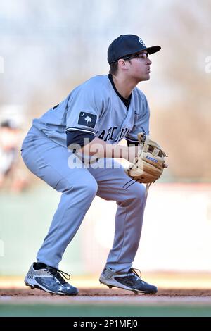 South Carolina Gamecocks third baseman Michael Braswell (7) on defense  against the Charlotte 49ers at Truist Field on March 21, 2023 in Charlotte,  North Carolina. (Brian Westerholt/Four Seam Images via AP Stock