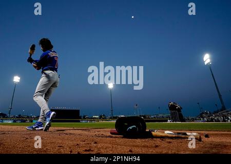 Dansby Swanson of the Chicago Cubs warms up before the spring