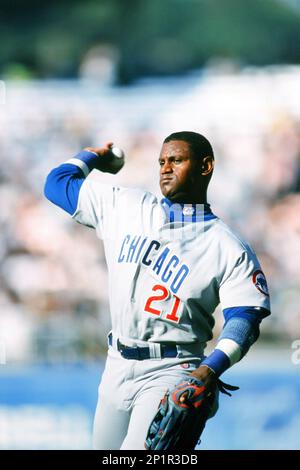 Sammy Sosa - Chicago Cubs - Detroit Sports Frenzy