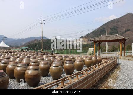 Traditional Korean fermentation jars in country market Stock Photo