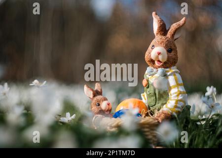 Easter motif with Easter bunny Stock Photo