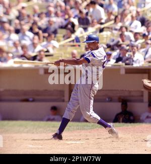 https://l450v.alamy.com/450v/2p1w77w/chicago-cubs-billy-williams-26-during-a-game-from-his-1964-season-against-the-new-york-mets-at-shea-stadium-in-flushing-meadows-billy-williams-played-for-18-season-with-2-different-teams-was-a-6-time-all-star-and-was-inducted-to-the-baseball-hall-of-fame-in-1987david-durochik-via-ap-2p1w77w.jpg