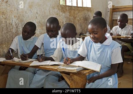 Children in the classroom of a rural school, Kenya Stock Photo