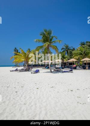 Holiday island in the Maldives, With swimming pool, Huts, and sun loungers, Maldives, Indian Ocean, Asia Stock Photo