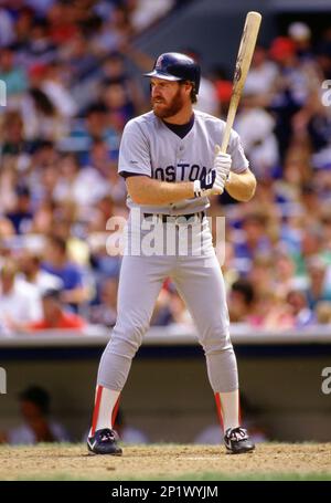 Wade Boggs Boston, Third baseman, Boston Red Sox Tampa Bay Devil Rays, New  York Yankees, with whom he won the 1996 World Series, All-Star, ALCS, Alds  Stock Photo - Alamy