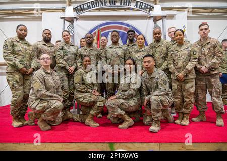 Soldiers of the 369th Sustainment Brigade, 369th Special Troops ...