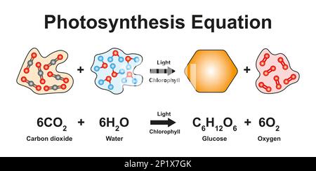 Photosynthesis equation, illustration Stock Photo