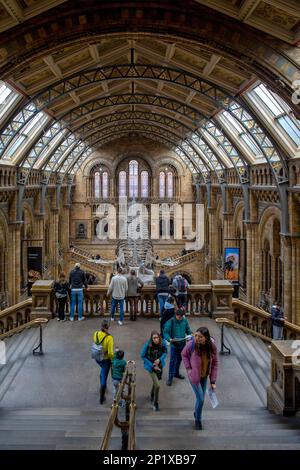 South Kensington, UK. 27th Feb, 2023. A general view of the Hintze Hall, inside the Natural History Museum, Cromwell Road, South Kensington, London SW7 on Monday 27th February 2023. (Photo by Mark Fletcher/MI News/NurPhoto) Credit: NurPhoto SRL/Alamy Live News