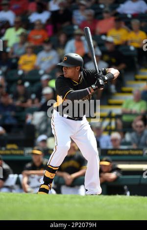 Photo gallery: Pirates play black and gold game at McKechnie