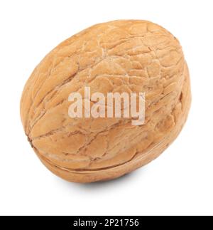 Whole walnut in shell isolated on white Stock Photo