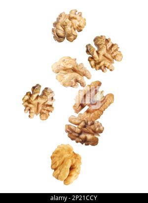 Halves of walnuts falling on white background Stock Photo